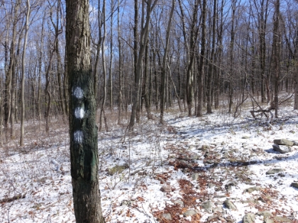 Blaze patterns have special meaning along the AT. I learned later what 2 blazes mean, but I'm not sure what 3 blazes mean.