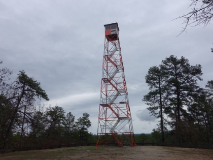Made it to Apple Pie Hill, the highest point in the entire Pine Barren region at only 205' above sea level. Because the land is so incredibly flat, the hill here makes for an excellent fire watch position. This tower is evidently manned daily throughout the fire season, but is empty today. If you read online, it seems to be a bit of a local ritual to climb this thing.