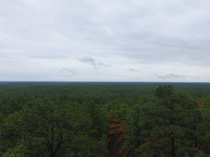 I made it up without too much trouble (at least to the top of the stairs since the room on top is locked). The sides are completley open, so it's definitely not for those with a fear of heights. But I was expecting it to be worse. The view is awesome though. Endless green forest is all directions. Almost no sign of humanity. Not what you picture when you think of New Jersey!