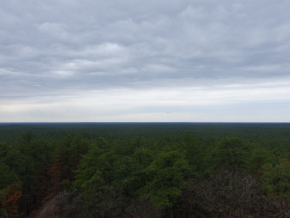 Another view from the top. You can just barely see the Philadelphia city skyline on the horizon (it's clearer in person). Those buildings are about 90 miles away!