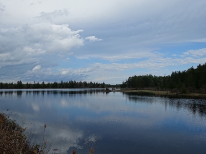 Beautiful ponds and bogs.