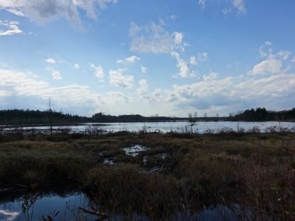 Love the lighting as the sun is starting to get low.