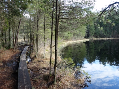 Footbridge leading around part of the pond.