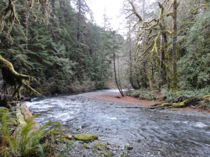 Awesome water scenery along Barnes Creek.