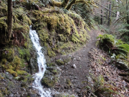 Mini creeks forming along the trail.