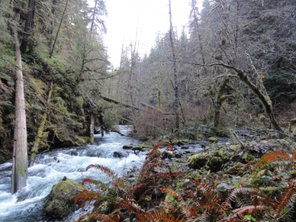 You just don't get this in SoCal.