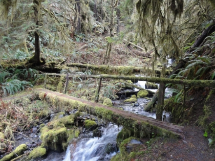 Some cool bridges crosssing the creeks.