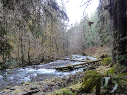 Picteresque every step of the way.