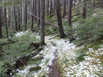 Eventually into the first signs of snow.