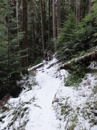 The snow gets fairly thick in places.