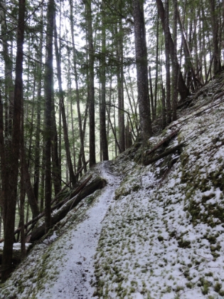 More snow dusted single track.