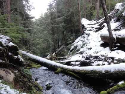 Looking down the canyon from my turnaround spot.