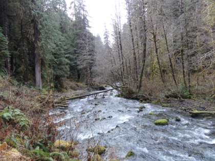 Following the creek downstream now on the way back.