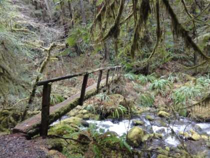 I love these bridges. It's starting to rain pretty hard at this point, and I'm struggling to keep my camera dry.