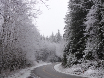 On the second day, I woke up to a snow covered car and drove about an hour from Forks down to the Hoh Rain Forest. Given that I was in a small rental car, with no chains, and zero familiarity of the area, I was a little nervous about the conditions. But it ended-up being a beautiful drive with no traction problems at all.