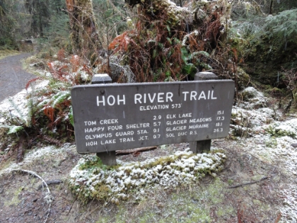 On to the Hoh River Trail towards the Olympus Guard Station.