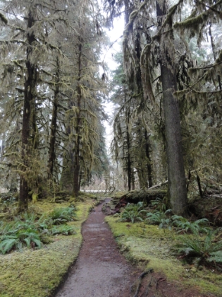 The first couple miles of the trail are very popular and too well groomed for my taste. But amazing scenery nonetheless.