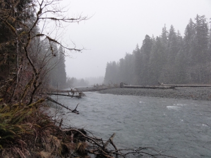 Great contrasts of rain forest and snowy river scenery.