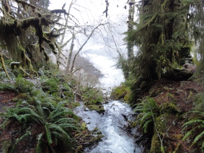 The cascades draining into the Hoh River below.