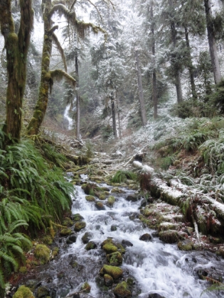 One of the waterfalls along the trail falling into a series of cascades.
