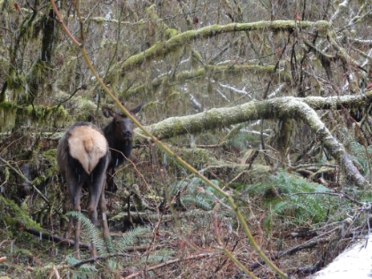 Especially this guy (or gal), just staring at me.