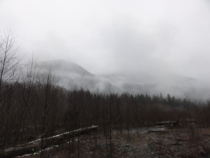 Snowy fog above the Hoh River.
