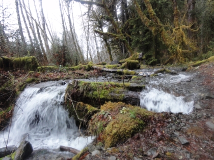 Cascades along the trail.