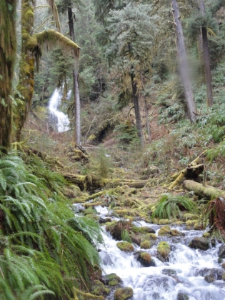Another view of the first waterfall and cascades.