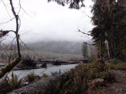 The trail running right alongside the river.