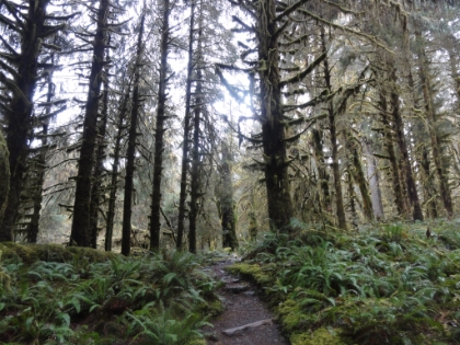 Almost back to the trailhead.