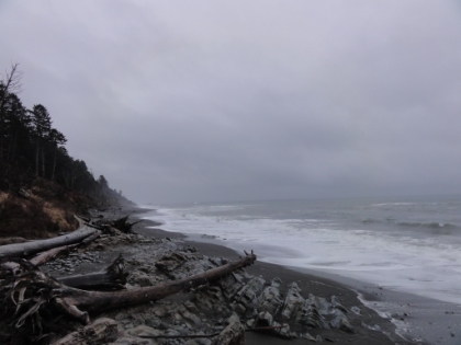 It was raining pretty hard at this point, but I took the short trail down to the water. Here looking South down the Pacific coast.
