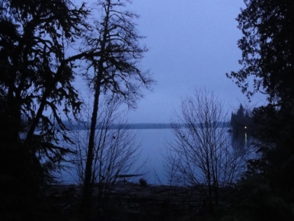 After a couple hour drive from the Hoh Rain Forest, I reached my next destination at Lake Quinault just as the sun went down.