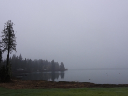 A misty, rainy morning on Lake Quinault. I had no idea what trail to take, so I tried asking around at the motel and also the cafe where I ate breakfast. I got a couple suggestions and decided on the Fletcher Canyon trail, sounded nice and not too long a drive to the trailhead.
