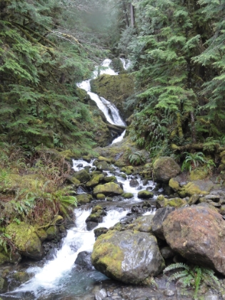 Bunch Falls a little farther down the road. Green and gorgeous.