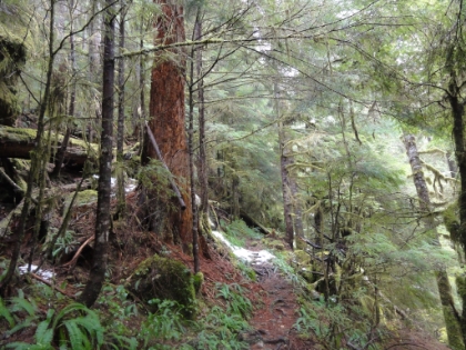 Already starting to hit snow patches.