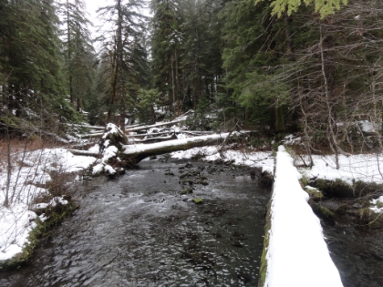 A snow covered log seems to be the only way across. That can't possibly be an intentional part of the trail? There is at least 5 or 6 inches of snow stacked-up on top with no foot prints, so I am very skeptical.