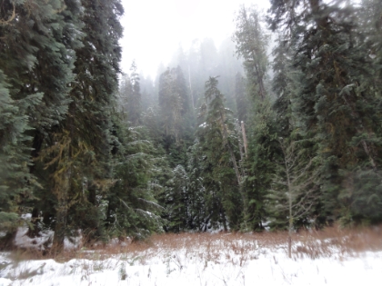 After a very slow and cautious trip, I made it to the other side.