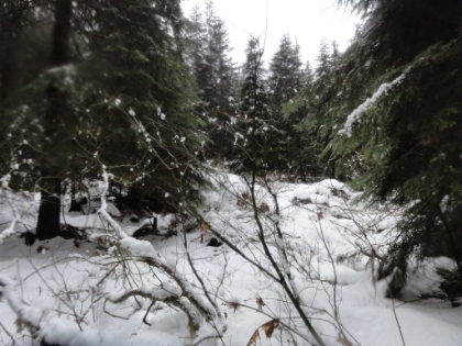 The "trail". I am starting to get close to my turnaround time and progress is really slow at this point. I'm in my non-waterproof trail running shoes, and my feet are getting cold!