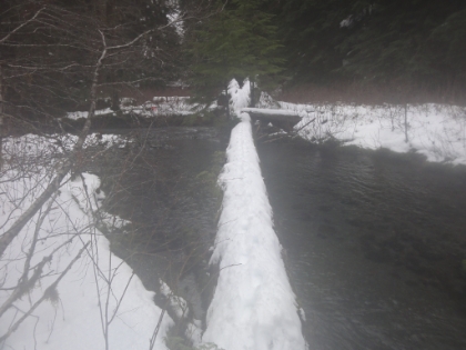 Back to the log crossing. You can see my deep tracks from the first trip across. At this point, my camera is almost entirely waterlogged.