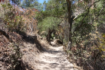 After making the roughly two hour drive from the Bay Area, I end-up in the middle of nowhere South of Hollister and enter Pinnacles National Park. After stopping at the East entrance Visitor's Center to get some trail recommendations from the Ranger, I head out. There's some nice single track near the trailhead on the Bear Gulch trail.
