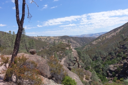 Probably not as green as in wetter years, but still some nice scenery.