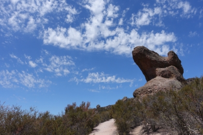 The trail is now up on the ridge near Scout Peak, one of the higher peaks in the park at 2,605'.