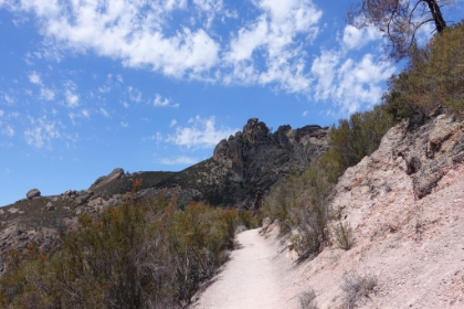 Some nice chapparal single track along the ridge.