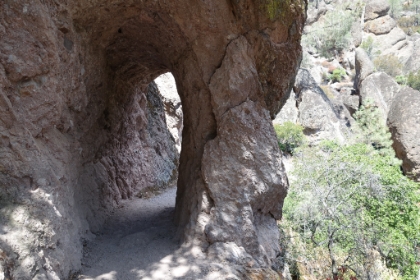 More amazing trail work.