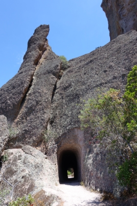 Another great trail tunnel.
