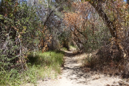 Now on the Old Pinnacles trail heading around the last of the loop and back to where I started. One more National Park checked off the to-do list!