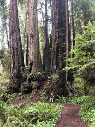 James Irvine and Miners Ridge Loop