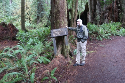 For our only full day in the park, we decided on a 10mi loop around the James Irvine and Miner's Ridge trails. The loop would take us from the Coastal Redwood groves to the Pacific Ocean and back.