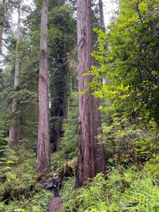 Singletrack doesn't get much better than this.