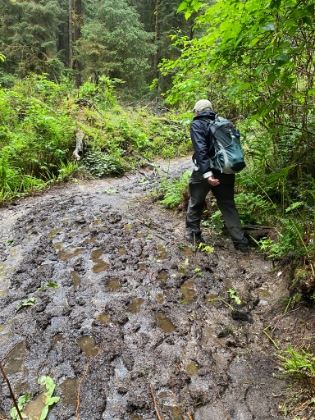 And a little muddy in places.